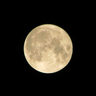 Credit: https://en.wikipedia.org/wiki/Full_moon#/media/File:Howling_at_the_Moon_in_Mississauga.jpg